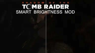 智能亮度 ReShade 模组
