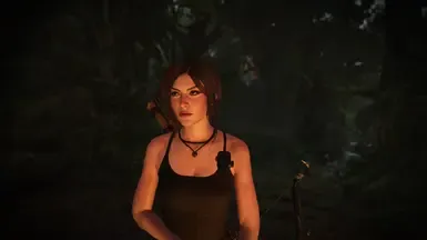 Baddie Raider - 现支持DX12的古墓丽影:暗影 Mod管理器