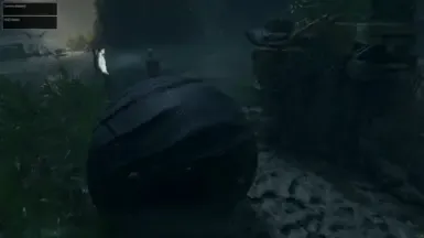 球形劳拉