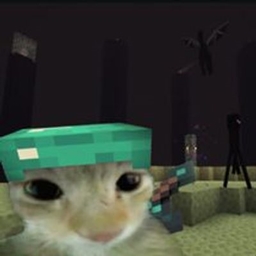 愚蠢的猴子把戏