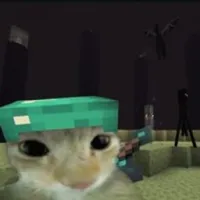 愚蠢的猴子把戏
