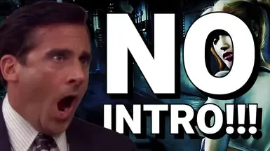 No-Intro(跳过启动-闪屏视频)