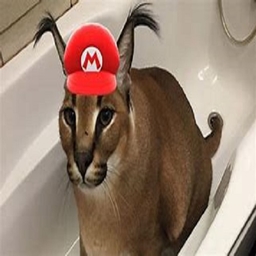 耶哦