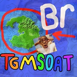 TGMSOAT
