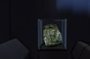莉亚拉的公寓里没有N7护甲