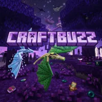 CraftBuzz 多人RPG