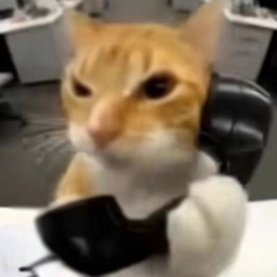 精良猫咪工艺