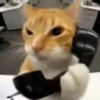 精良猫咪工艺