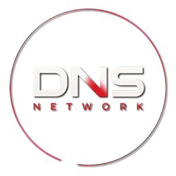 DNS网络SkyForge