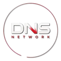 DNS网络SkyForge