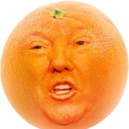 动荡时期