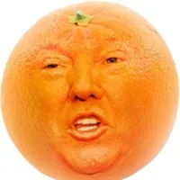 动荡时期