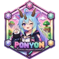 Pony0n的服务器