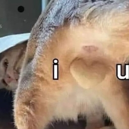 LFRPG
