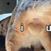 LFRPG
