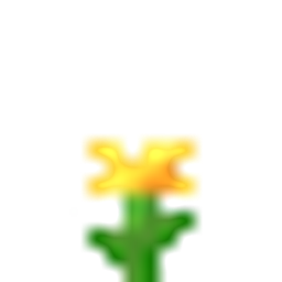 旧黄花