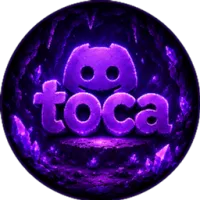 TOCA BR服务器
