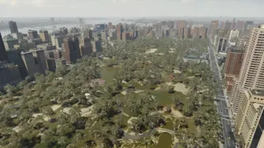 NYC祖母绿树