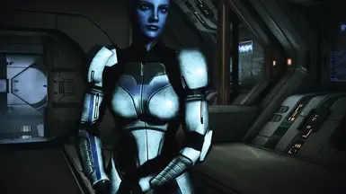 Liaras HR Silver Combat Armor (LE3)