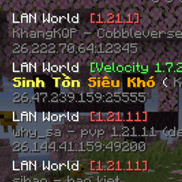 LAN 服务器版本