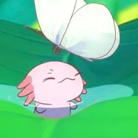 艾克希公主的王国