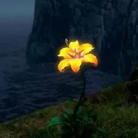 solace - 舒适冒险包