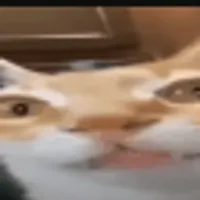 Createrm