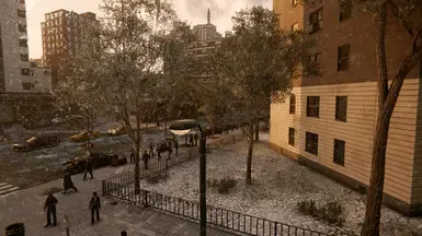 雪地道路与植被
