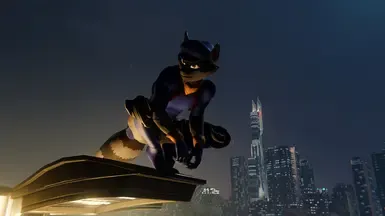 Sly Cooper - 适配装