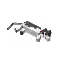 RaceAPI