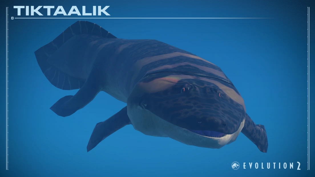 PizzaOtters Tiktaalik Roseae (新物种)