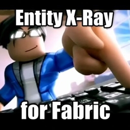 实体透视（Fabric版）