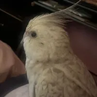 维尔合集
