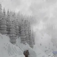 暴风雪 - 66squad