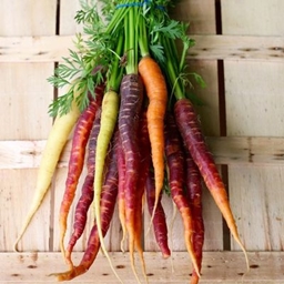 CARROTS772!!!!!