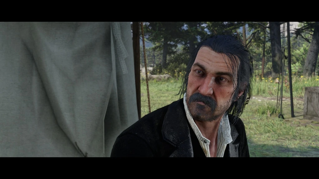 Dutch Long Hair and Beard
