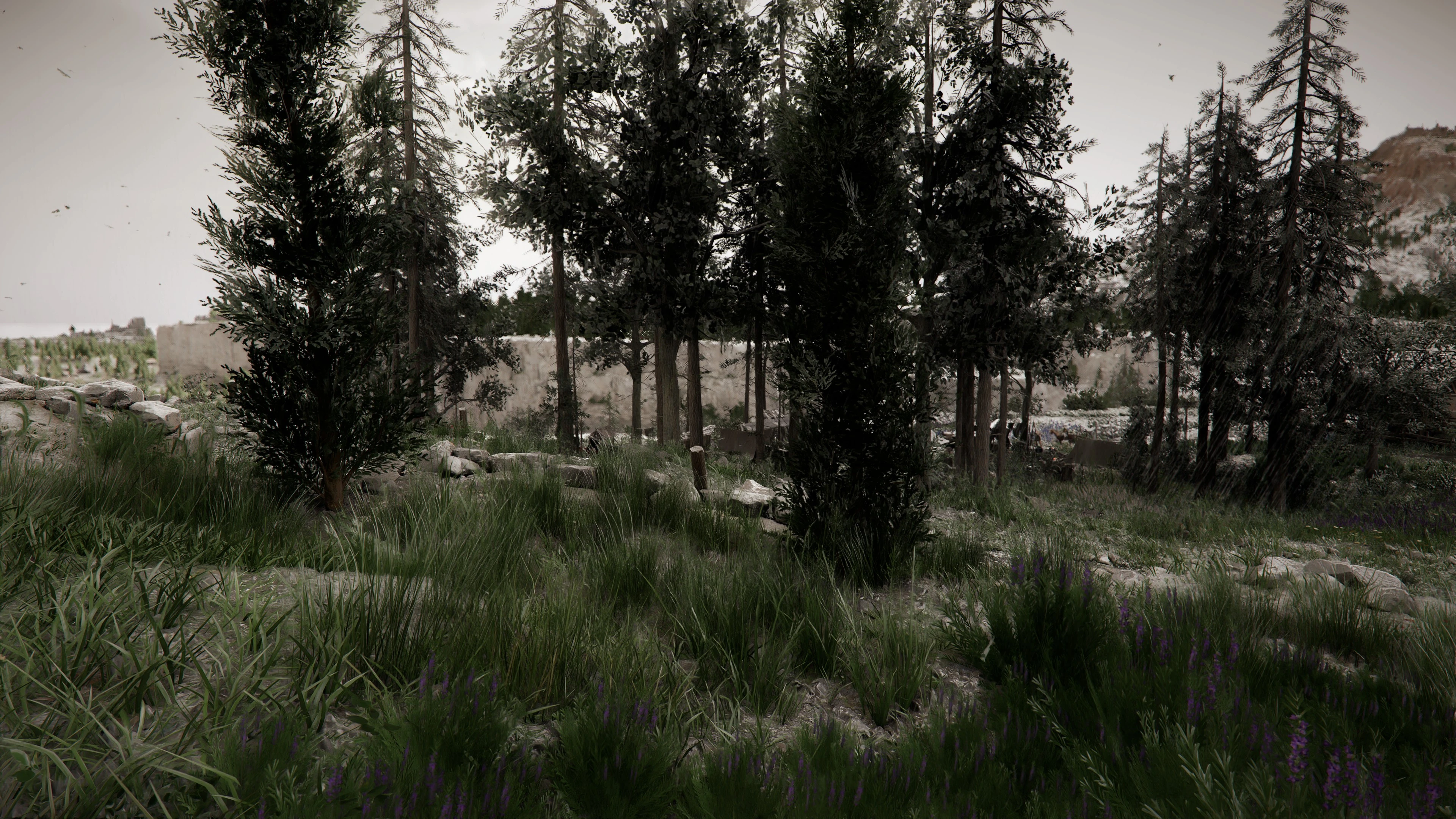 Cinematic Crimson Desert