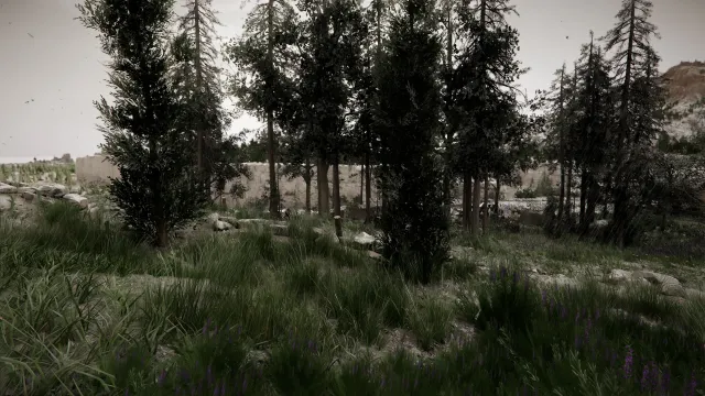 Cinematic Crimson Desert