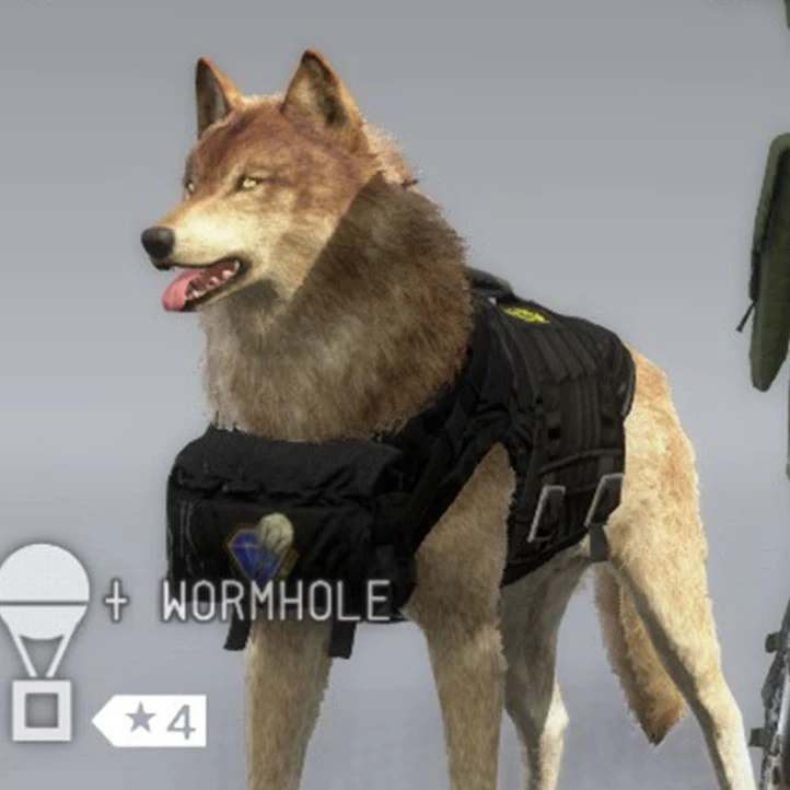 D-Dog black suits