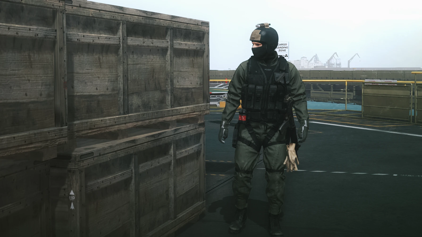 VBSS Revised (V Framework)