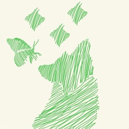 Fryrvo 光盘