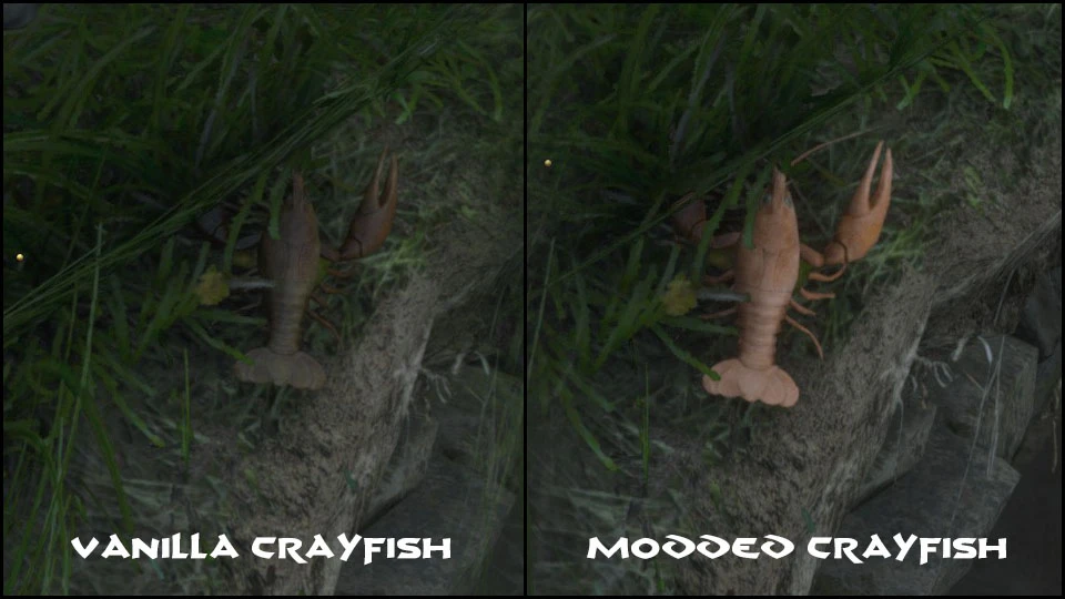 Colorful Crayfish