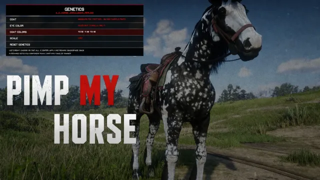 Pimp My Horsey - Browse Installed Coats and Customize Your Horse Live
