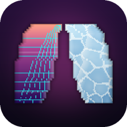 Elytra Skins
