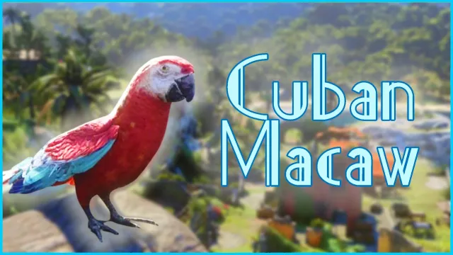 Cuban Macaw