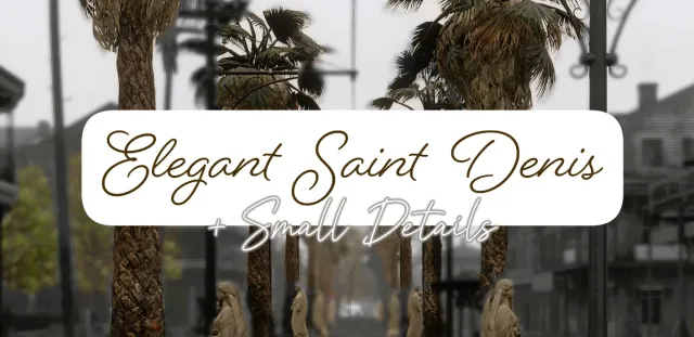 Elegant Saint Denis