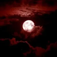 无尽血夜