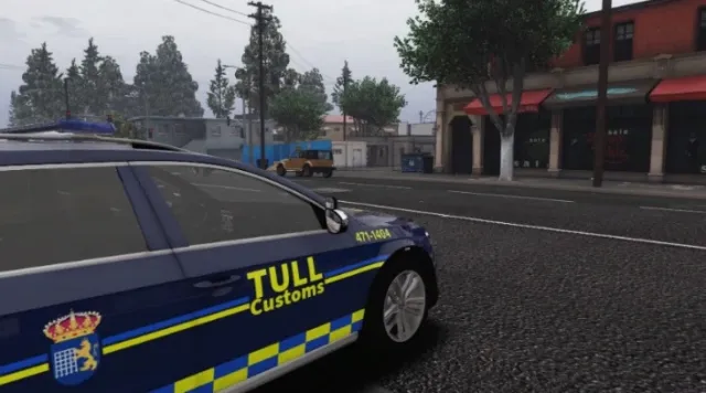 Swedish Customs VW Passat B7 Alltrack