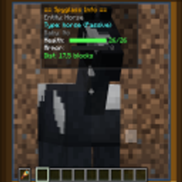 Spyhud