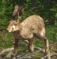 Hare Backwards Run Bugfix